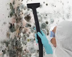 Best Environmental Consulting for Mold Prevention  in Warrensville Heights, OH